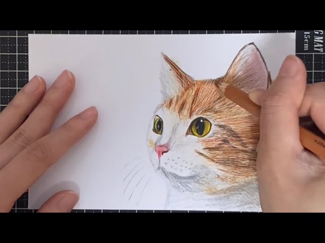 パステル＆鉄筆＆色鉛筆を使ってのんびりひたすら猫の絵を描く動画