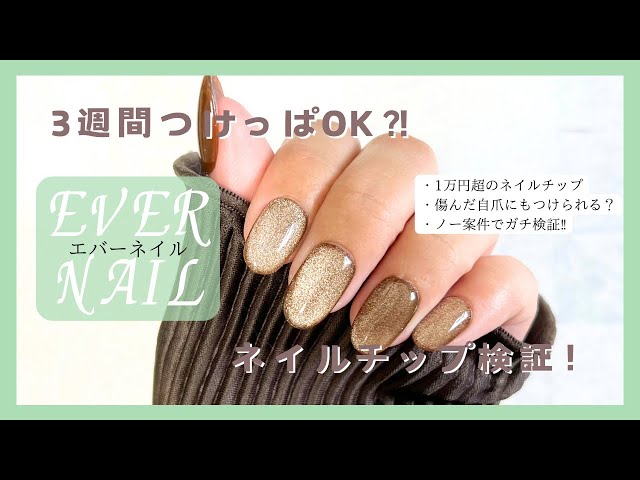 No Case] ​​I tried wearing EVER NAIL nail tips for 3 weeks! - YouTube
