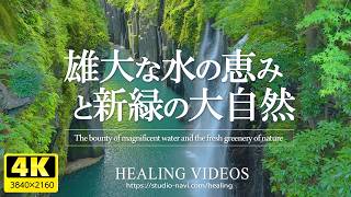 Healing] The Blessings of Magnificent Water and Nature / Japan's
