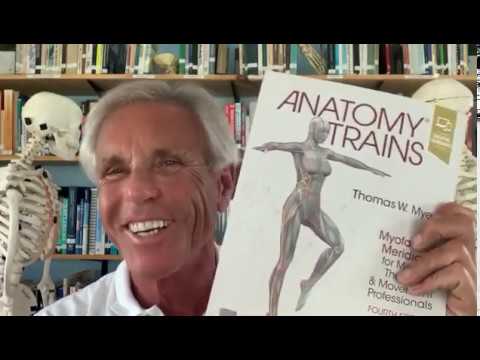 Tom Myers discusses Anatomy Trains 4th edition! - YouTube
