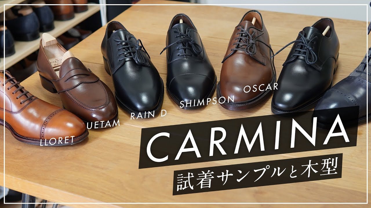 Introducing Carmina fitting samples and last features [Carmina