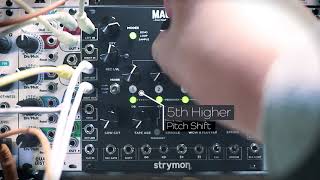 strymon | MAGNETO | ユーロラック・モジュラーシンセ | Five G music