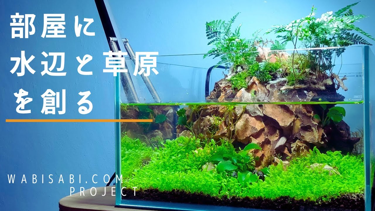 ぴよぴよ】 滝と渓流のアクアテラリウム 30センチ水槽 ☆ユイ様専用