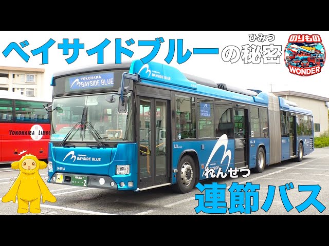 Vehicles] The secret of the articulated bus 