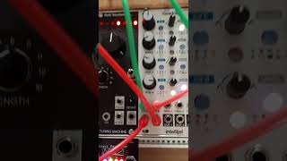 Intellijel Quadrax - Eurorack Module on ModularGrid