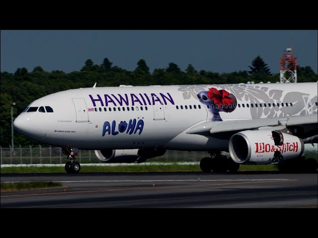 Hawaiian Airlines Lilo & Stitch Livery Airbus A330-200 N378HA