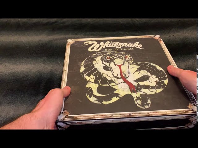 WHITESNAKE BOX ´O´SNAKES (Big Box)Sunburst years 1978-1982 (out of
