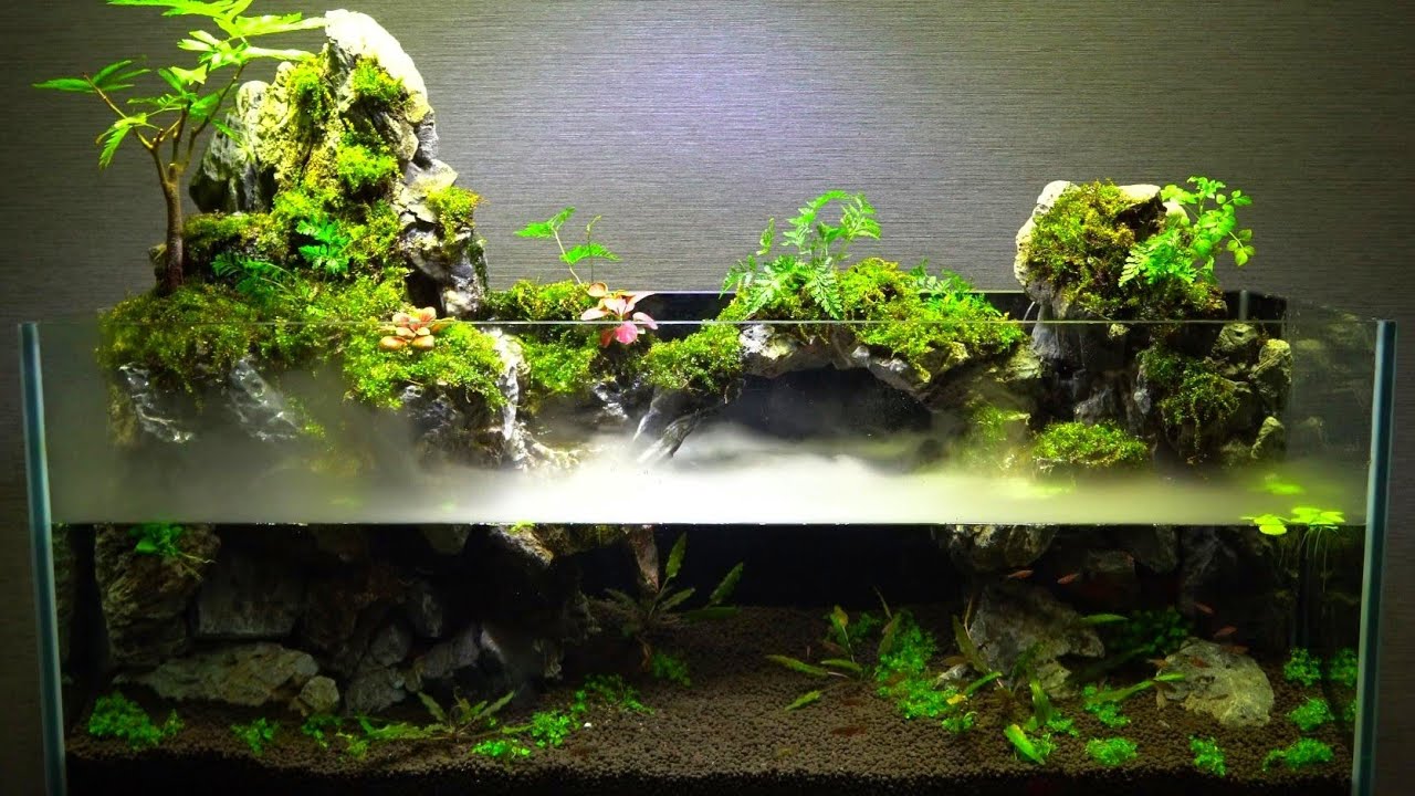 90センチ水槽で滝の流れるアクアテラリウムを作る【part74】 Make an