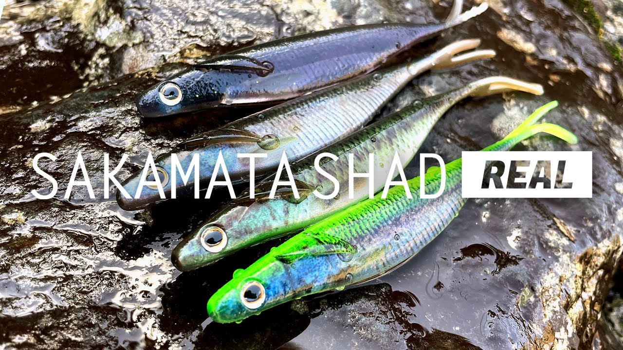 サカマタシャッドリアル』アクションムービー - YouTube