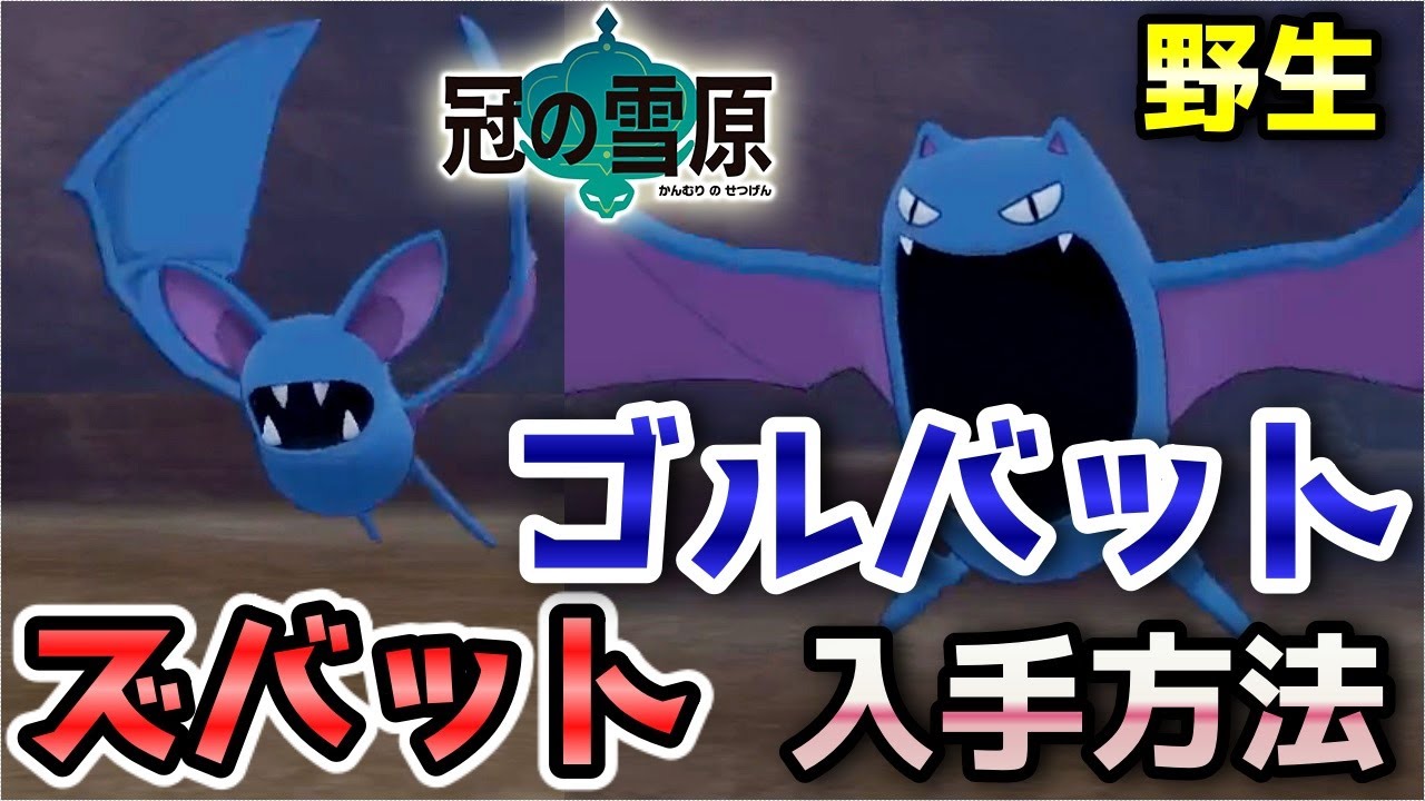 冠の雪原】『ズバット・ゴルバット』野生での出現場所・入手方法