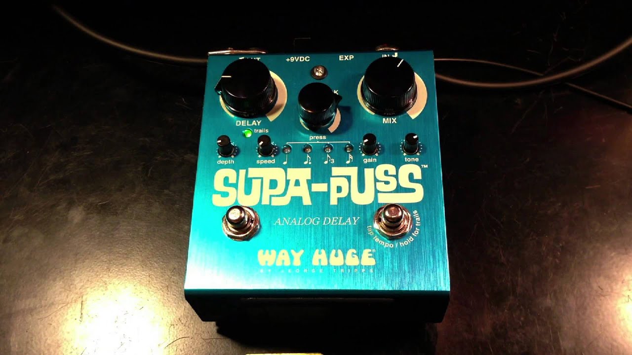 WAYHUGE WHE-707 SUPA-PUSS ANALOG DELAY - ジョージ・トリップス氏が