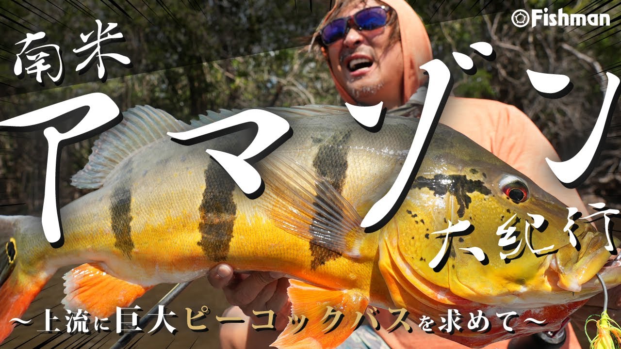 フィッシュマン(Fishman) BC4 6.10MXH 【シーバスルアー専門店 キング