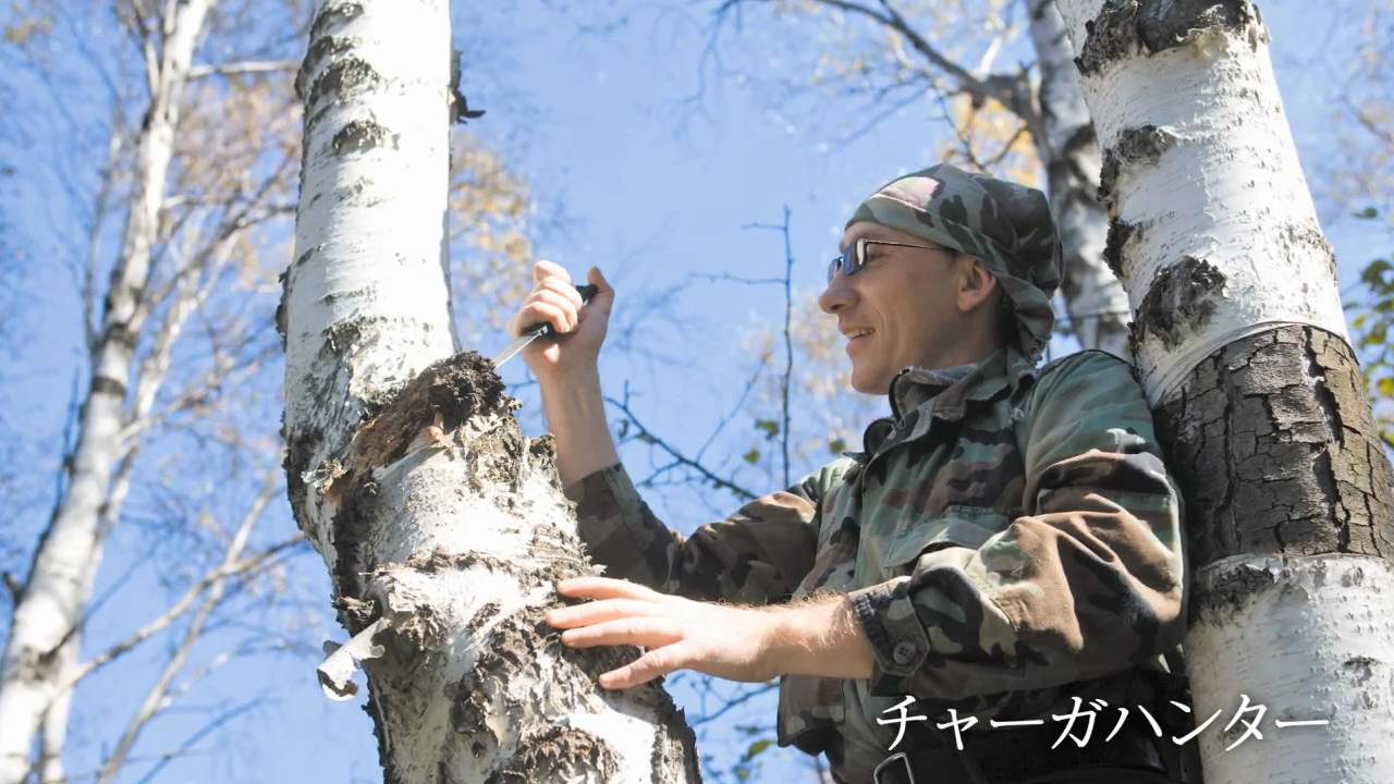 チャーガ酒 「黒宝霧島」 - YouTube