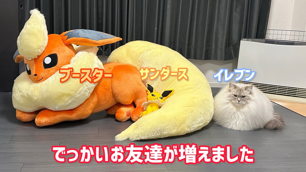 ポケモン等身大ブースター】でっかい友達が増えました - YouTube