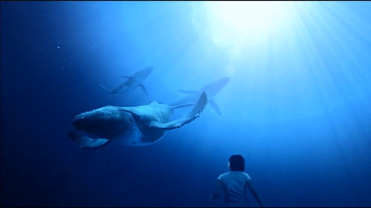 マウイオーシャンセンター | ハワイの水族館