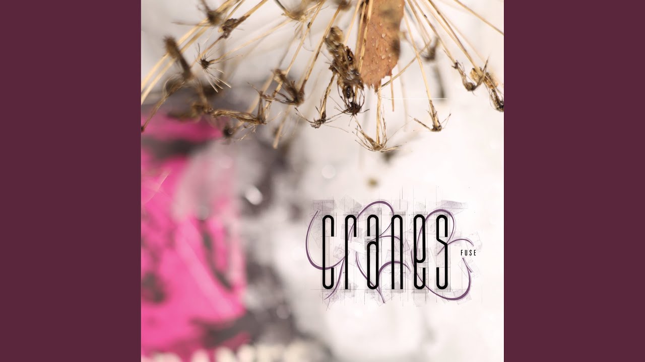 芽瑠璃堂 ＞ UKドリーム・ポップ/シューゲイザーバンド、CRANESの86年