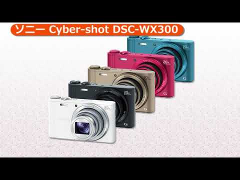 ソニー Cyber-shot DSC-WX300 B ブラック | コンパクトデジタルカメラ