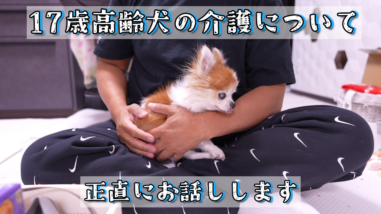 I'm a 17-year-old grandmother, and I've been keeping quiet about