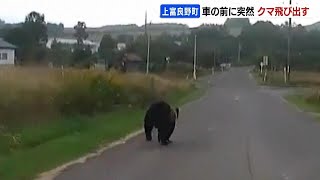 That's dangerous! Seriously! Hey, come on!