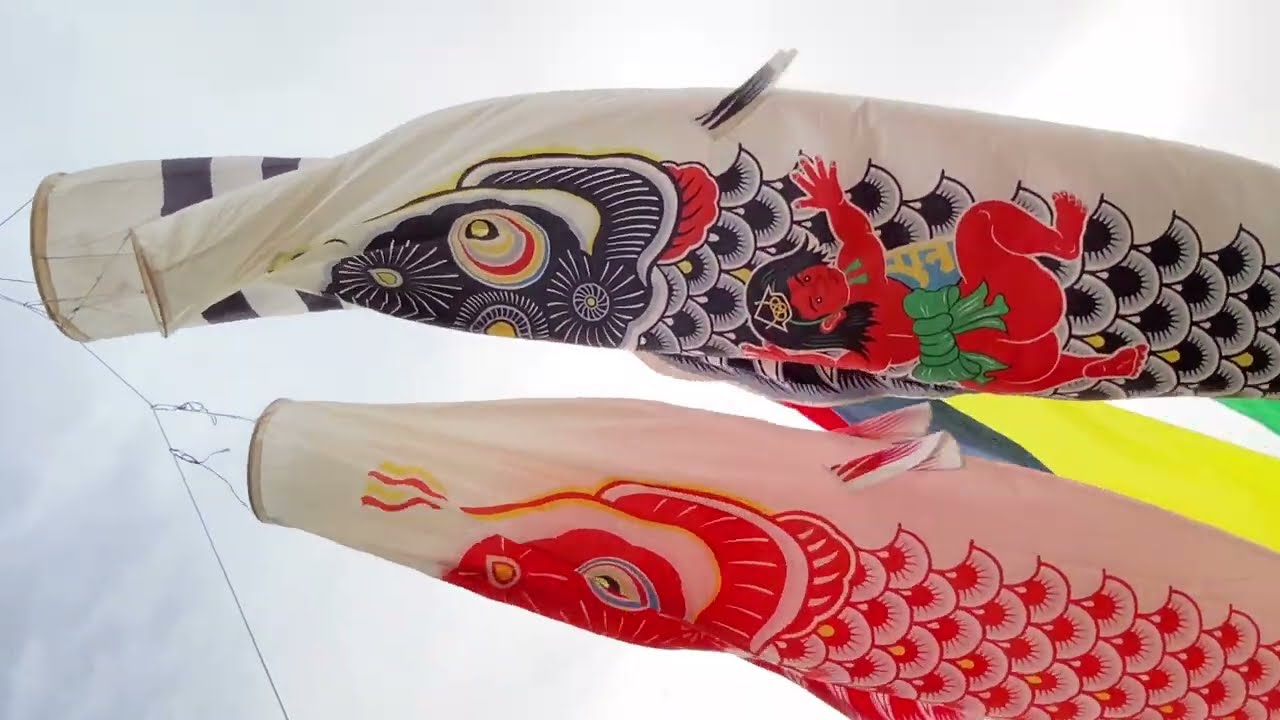 maxresdefault.jpg?sqp=-