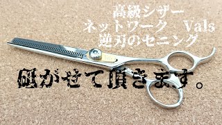 シザー(理美容ハサミ) 研ぎ ネットワーク Vals 高級メーカーのセニング