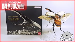 いきもの大図鑑プレミアムのヘラクレス・リッキーを開封するよ【コアラ