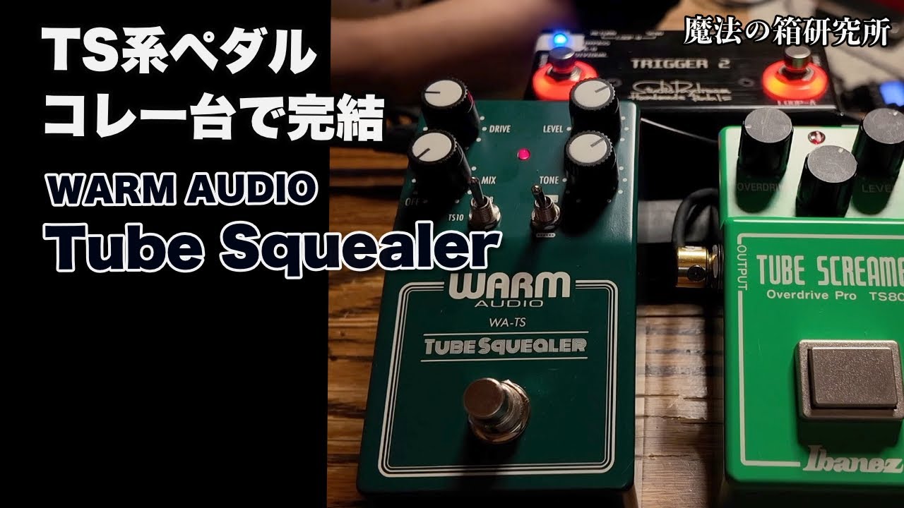 Comprehensive Testing of the WARM AUDIO Tube Squealer, a TS-type