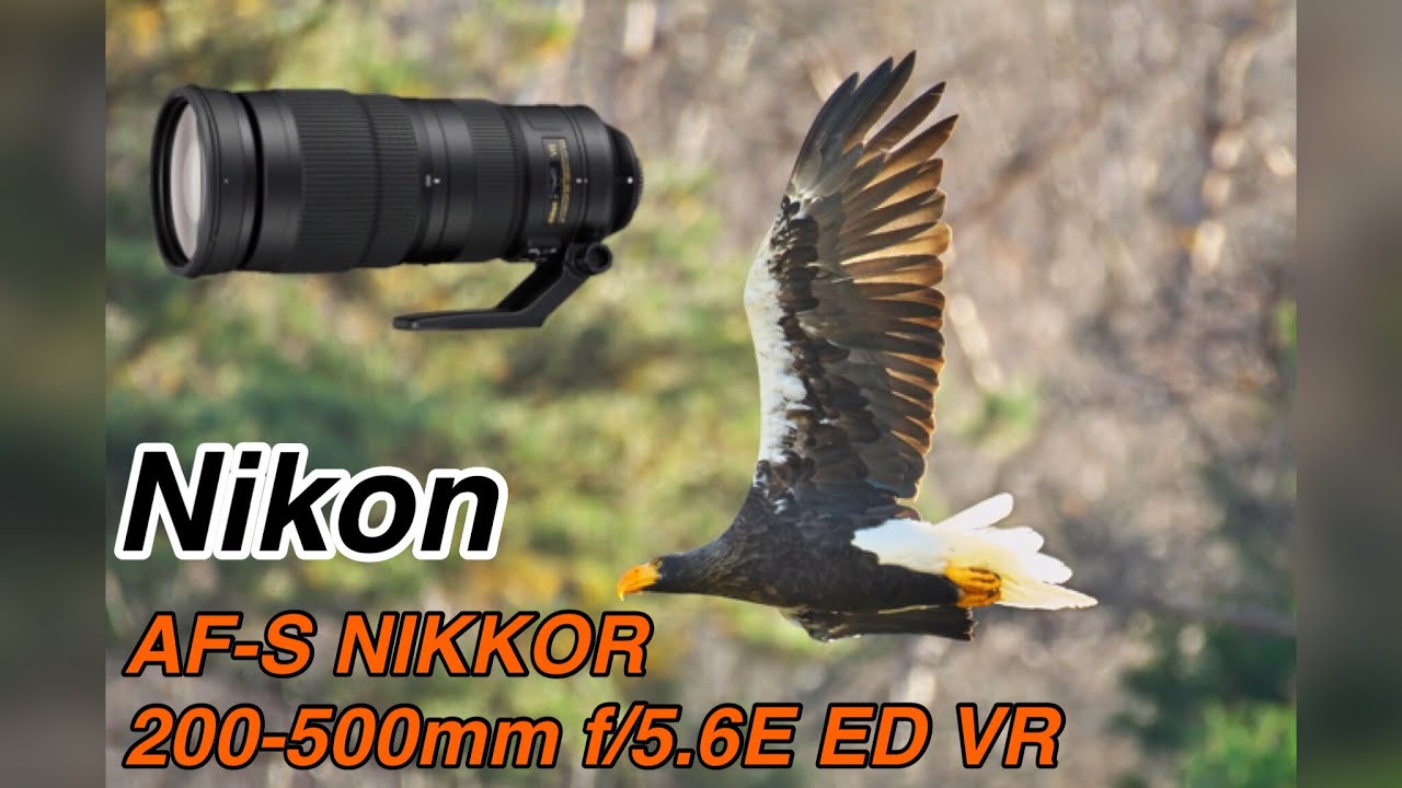 Nikon AF-S NIKKOR 200-500mm f/5.6E ED VR作例 ① - YouTube