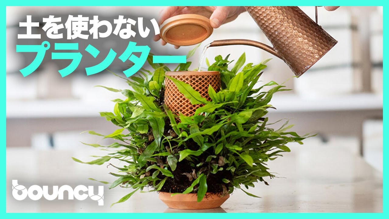 土を使わないから汚れにくい観葉植物プランター「tevaplanter」 - YouTube