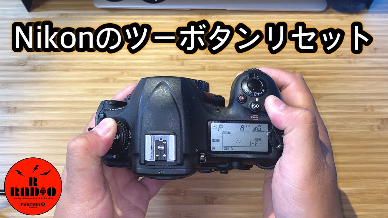 Backdating Chat] Fixing SLR Camera Errors and Bugs - Nikon Two