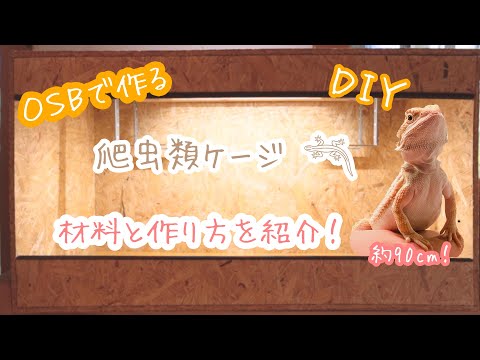 DIY】シンプルでおしゃれな爬虫類ケージの作り方！ - YouTube
