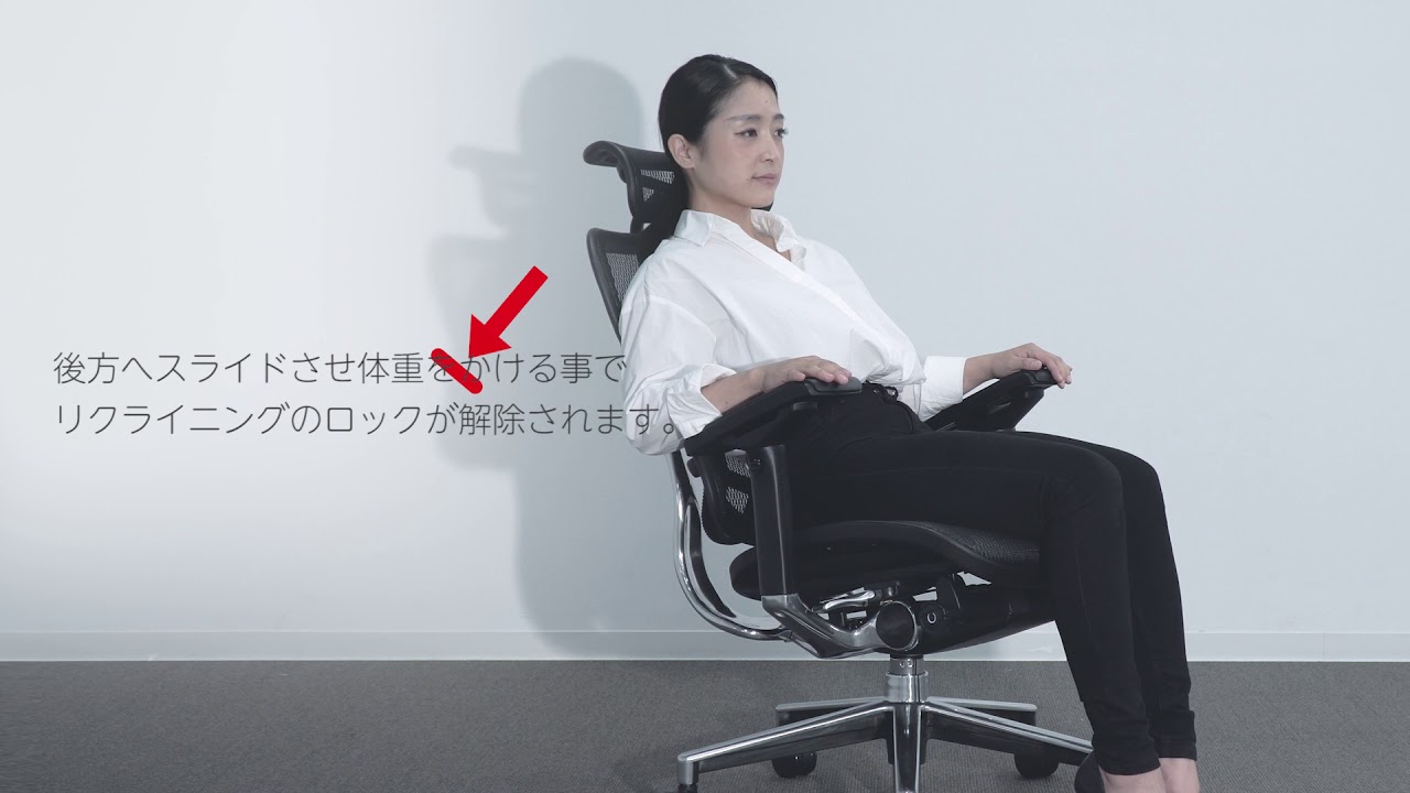 エルゴヒューマン Basic Ergohuman ハイスペックチェア オフィス