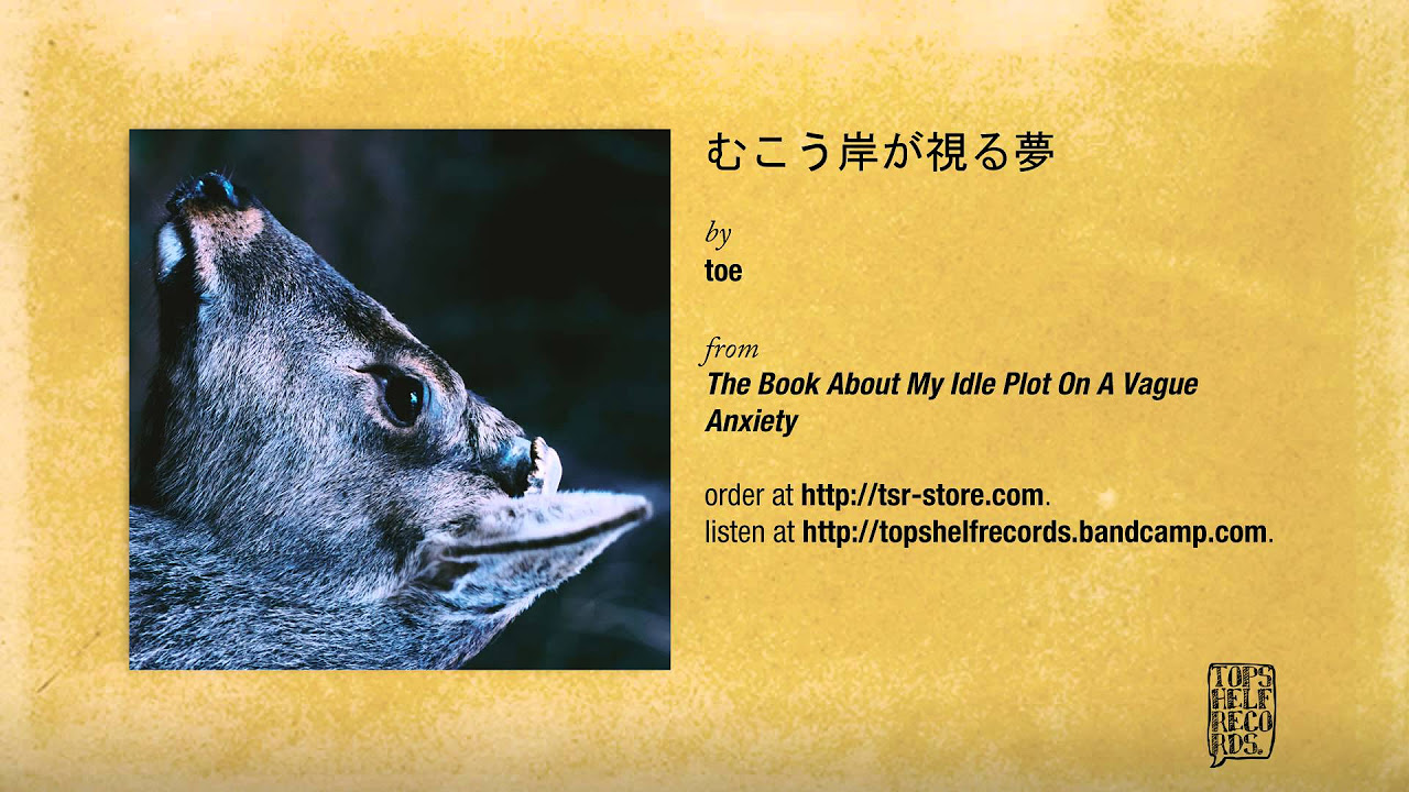 むこう岸が視る夢