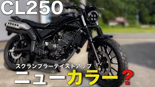 CL250] Color change❗️ A matte finish that you'll want to add to