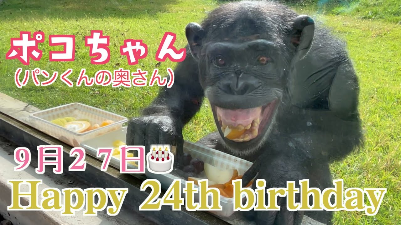 Pan-kun's New Year 2026 🎍 [Part 2] Delighted with Kagawa