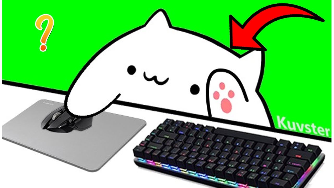 How To Get And Set Up Bongo Cat Cam V2! (Streamlabs, OBS) 2021