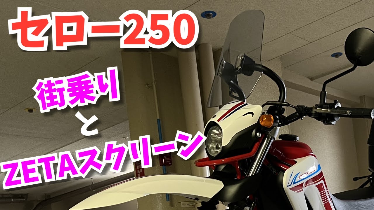 Great for city riding] A little walk on a Serow with a ZETA screen