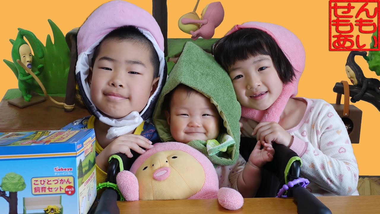 こびとづかん飼育セット(捕まえ方編) - YouTube