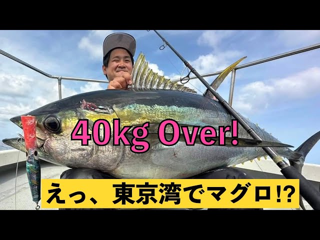 キハダキャスティング】東京湾のすぐそこで巨大マグロゲット