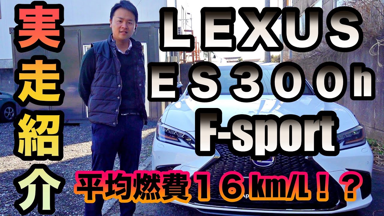 レクサス ES300h Fスポーツ 赤レザー TRDエアロ 4本出しマフラー 19