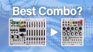 Intellijel Multigrain - Eurorack Module on ModularGrid