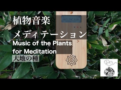 植物音楽メディテーション/Music of the Plants for Meditation - YouTube