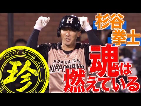 杉谷拳士 魂は燃えている - YouTube