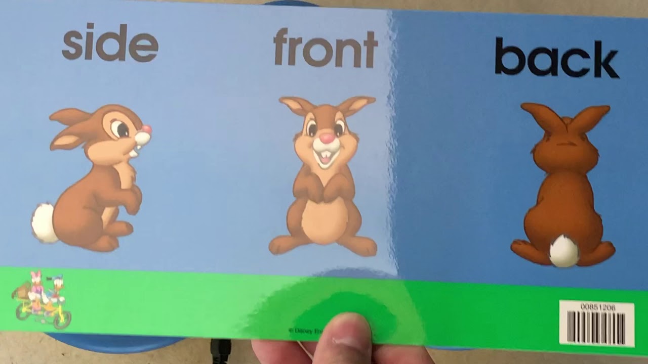 World Family ディズニー英語教材 Digital PLAYMATE / Talkalong Card