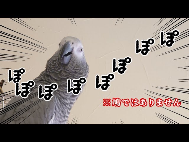 When I told Yomu my new age, I was overwhelmed [Birthday: happy