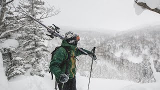 Tyrolia Ambition 10 Alpine Touring Bindings 2026 | evo