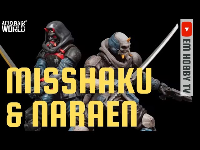 Misshaku & Naraen (Acid Rain World FAV-A46) - YouTube