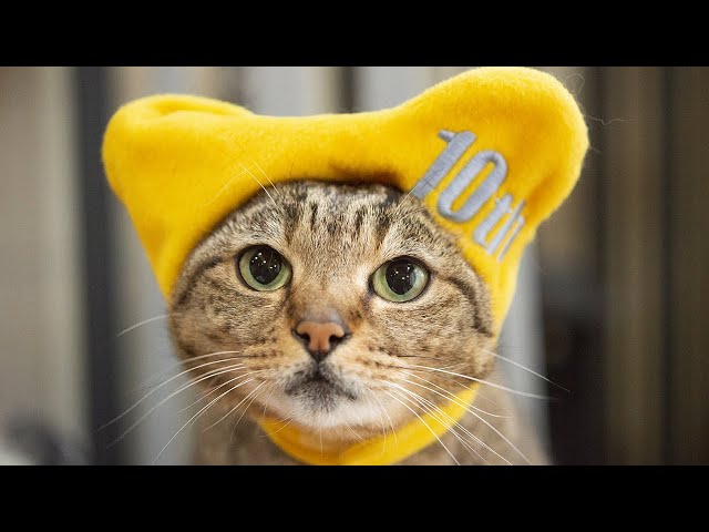 はな10。-Hana 10.- - YouTube