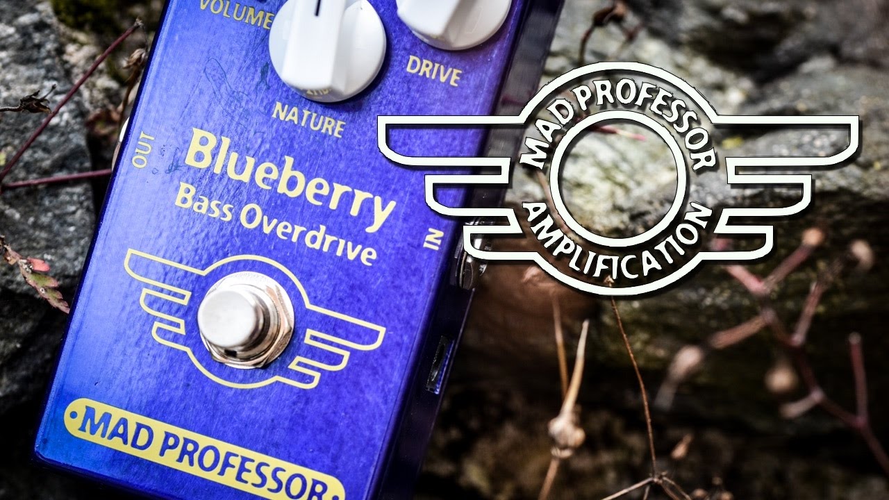 Mad Professor Blueberry Bass Overdrive - Review - YouTube