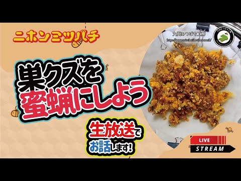 巣クズを蜜蝋にしよう【二ホンミツバチ飼育Q&A】 - YouTube